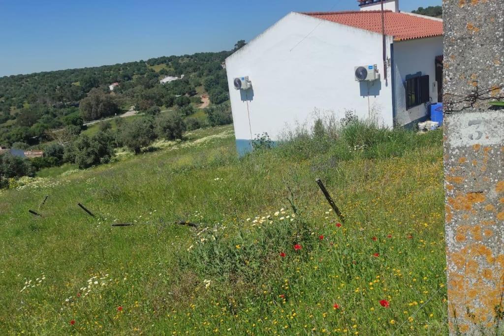 Villa Nova Quinta Moderna Torramo Em Oliveiras, Campo De Laranjas, Na Nacional 2, Alentejo 13750 M2 Torrão Exterior foto
