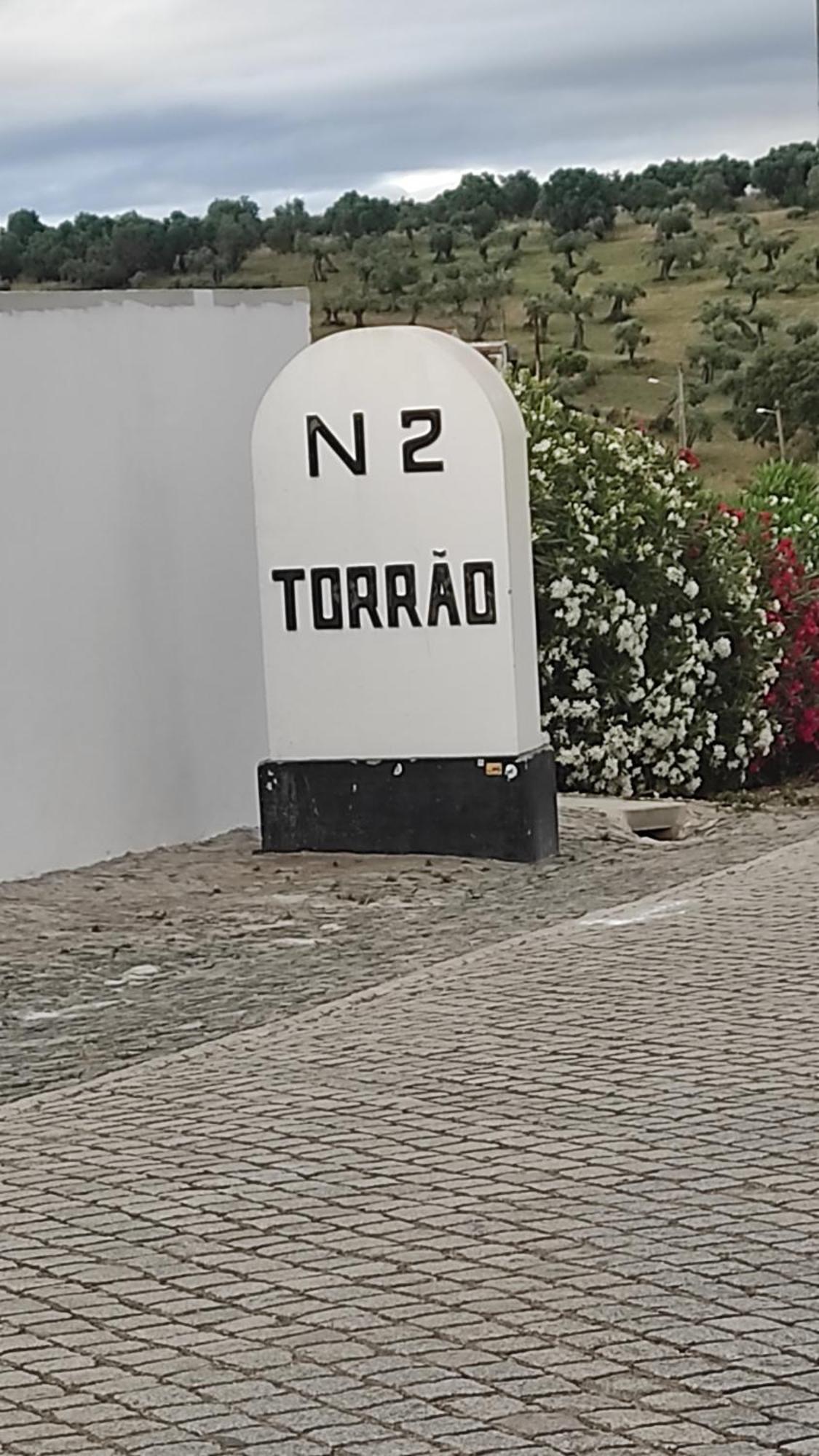 Villa Nova Quinta Moderna Torramo Em Oliveiras, Campo De Laranjas, Na Nacional 2, Alentejo 13750 M2 Torrão Exterior foto
