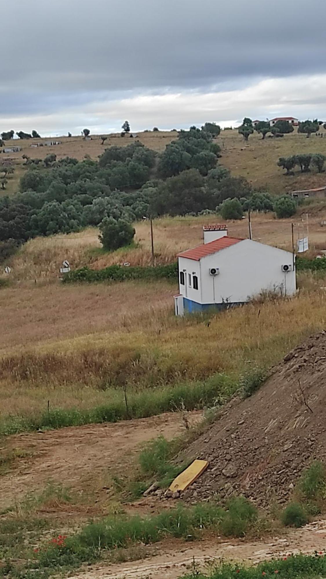 Villa Nova Quinta Moderna Torramo Em Oliveiras, Campo De Laranjas, Na Nacional 2, Alentejo 13750 M2 Torrão Exterior foto