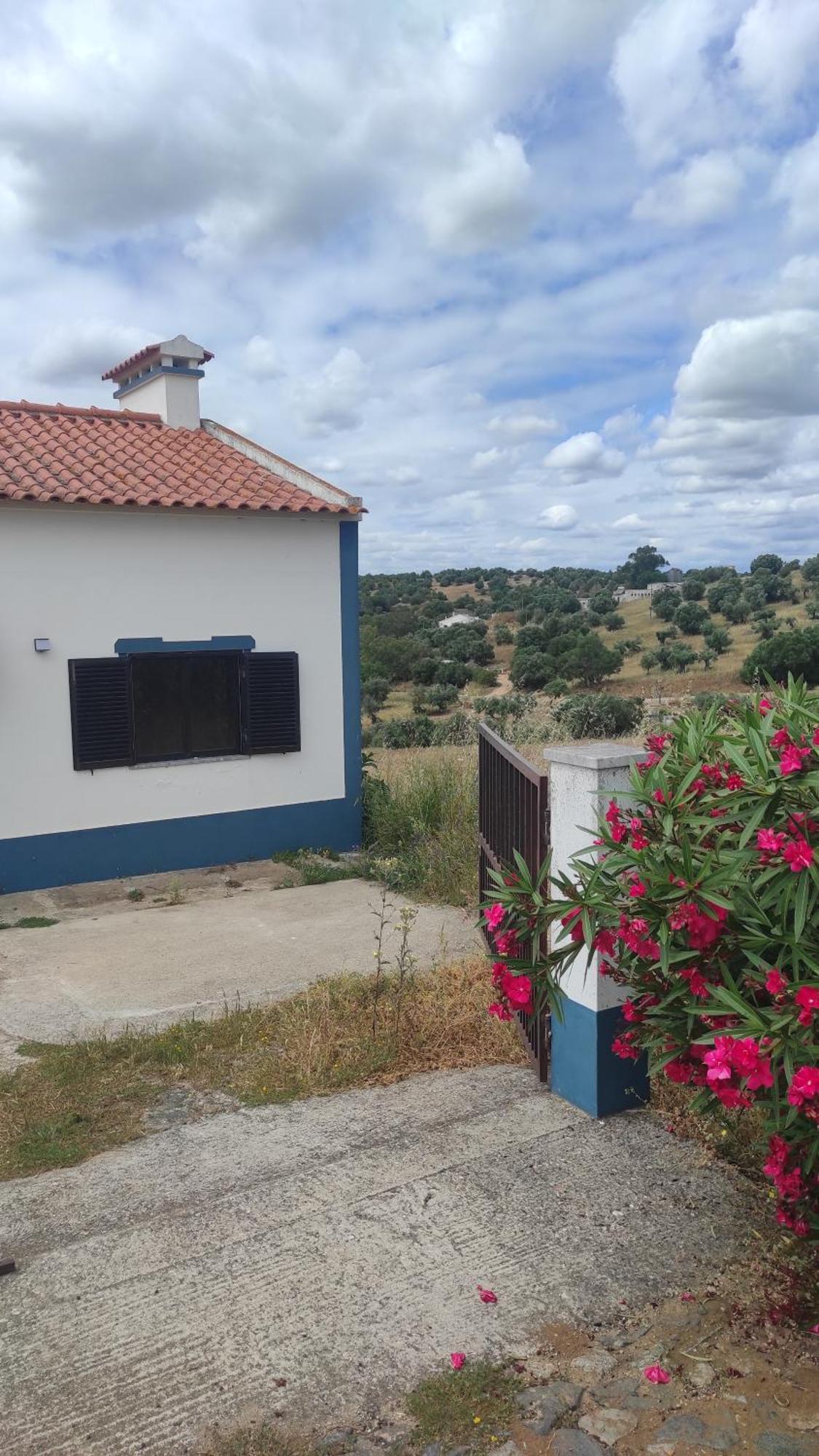 Villa Nova Quinta Moderna Torramo Em Oliveiras, Campo De Laranjas, Na Nacional 2, Alentejo 13750 M2 Torrão Exterior foto