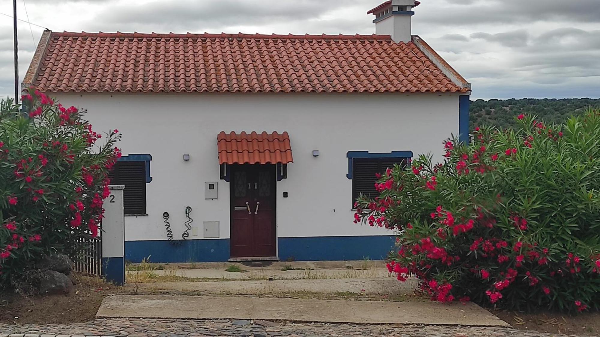 Villa Nova Quinta Moderna Torramo Em Oliveiras, Campo De Laranjas, Na Nacional 2, Alentejo 13750 M2 Torrão Exterior foto